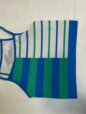 No Boundaries Blue, Green and White Striped Crop Tank